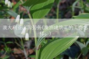 澳大利亚出国劳务(澳洲建筑工的工资怎样。)