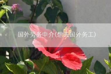 国外劳务中介(想去国外务工)