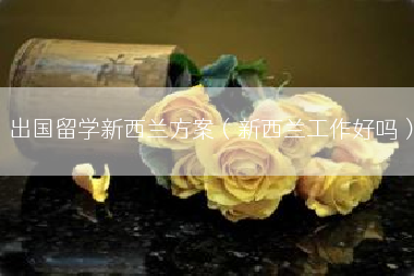 出国留学新西兰方案（新西兰工作好吗）