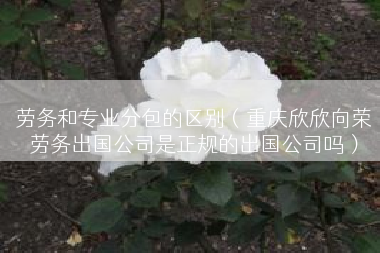 劳务和专业分包的区别（重庆欣欣向荣劳务出国公司是正规的出国公司吗）