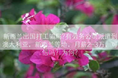新西兰出国打工骗局?有劳务公司派遣到澳大利亚，新西兰等地，月薪2-3万，可信吗？为何?