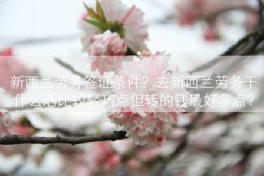 新西兰劳务签证条件？去新西兰劳务干什么活比较轻巧点但转的钱最好多点？