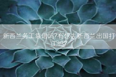 新西兰务工靠谱吗?有想去新西兰出国打工吗?