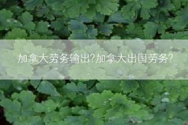 加拿大劳务输出?加拿大出国劳务?