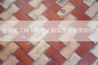 出国务工网（现在去韩国劳务前景如何）