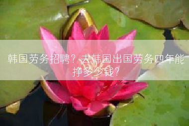 韩国劳务招聘？去韩国出国劳务四年能挣多少钱？