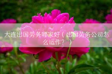 大连出国劳务哪家好（出国劳务公司怎么运作？）