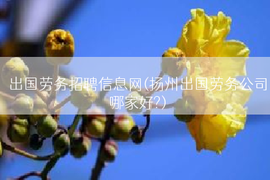 出国劳务招聘信息网(扬州出国劳务公司哪家好?)