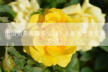 出国劳务能赚多少钱？去新西兰需要多少钱？