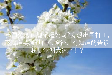 出国劳务正规派遣公司?我想出国打工，不知道要通过什么途径，有知道的告诉我，谢谢大家了！?