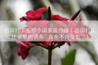 出国打工去哪个国家最挣钱（出国打工还家里的债务``真舍不得女友``）