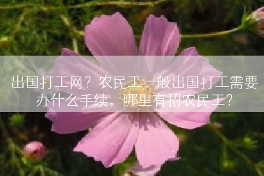 出国打工网？农民工一般出国打工需要办什么手续，哪里有招农民工？