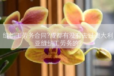 缝纫工劳务合同?成都有没有去过澳大利亚缝纫工劳务的?
