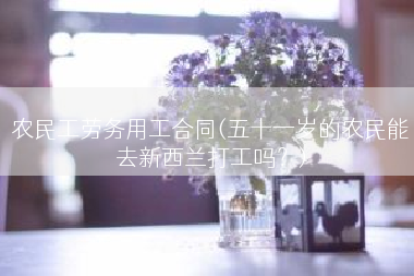农民工劳务用工合同(五十一岁的农民能去新西兰打工吗？)