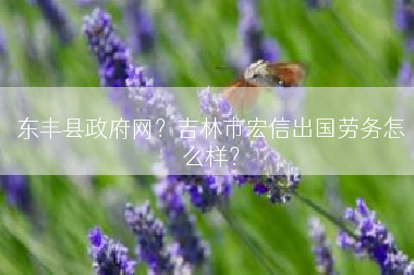 东丰县政府网？吉林市宏信出国劳务怎么样？