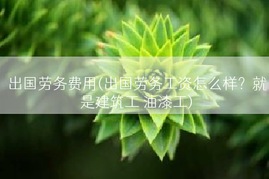 出国劳务费用(出国劳务工资怎么样？就是建筑工 油漆工)