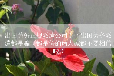 出国劳务正规派遣公司（了出国劳务派遣都是骗子都是假的请大家都不要相信啦）