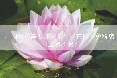 出国劳务需要哪些条件？在日本免税店打工累不累？