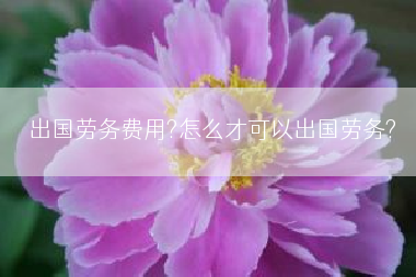 出国劳务费用?怎么才可以出国劳务?