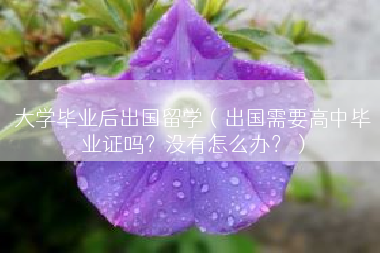 大学毕业后出国留学（出国需要高中毕业证吗？没有怎么办？）