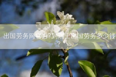 出国劳务网官方?到瑞士出国劳务多少钱?