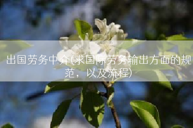 出国劳务中介(求国际劳务输出方面的规范，以及流程)