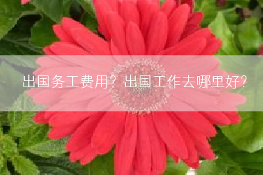 出国务工费用？出国工作去哪里好？