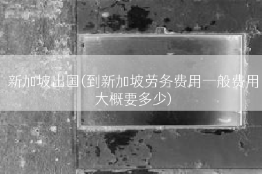 新加坡出国(到新加坡劳务费用一般费用大概要多少)