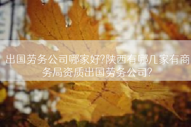 出国劳务公司哪家好?陕西有哪几家有商务局资质出国劳务公司?