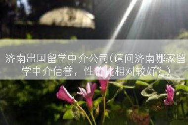 济南出国留学中介公司(请问济南哪家留学中介信誉，性价比相对较好？)