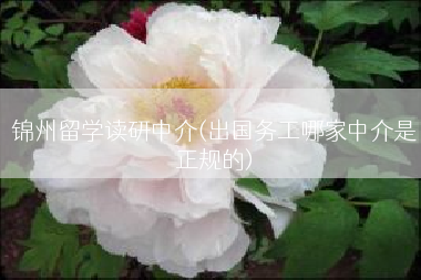 锦州留学读研中介(出国务工哪家中介是正规的)