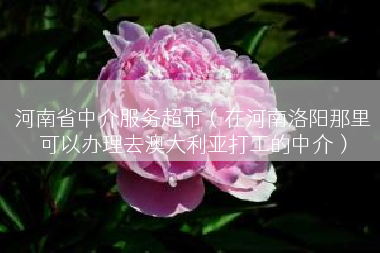 河南省中介服务超市（在河南洛阳那里可以办理去澳大利亚打工的中介）