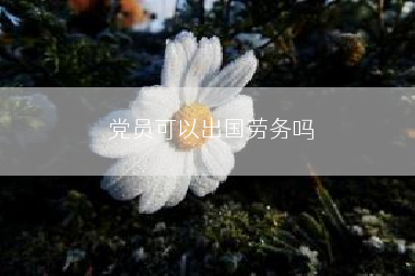 党员可以出国劳务吗