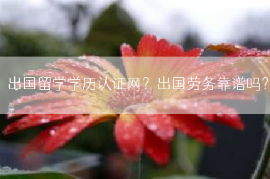 出国留学学历认证网？出国劳务靠谱吗？