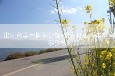 出国留学大概多少钱(出国打工一年能挣多少钱)