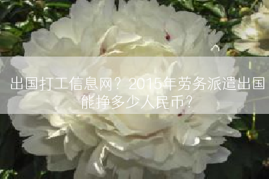 出国打工信息网？2015年劳务派遣出国能挣多少人民币？