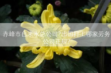 赤峰市自来水总公司?出国打工哪家劳务公司正规?
