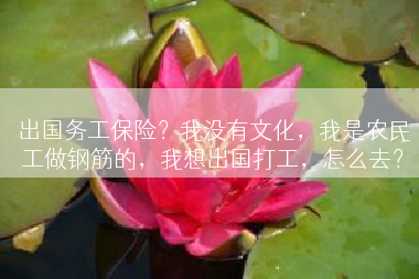 出国务工保险？我没有文化，我是农民工做钢筋的，我想出国打工，怎么去？