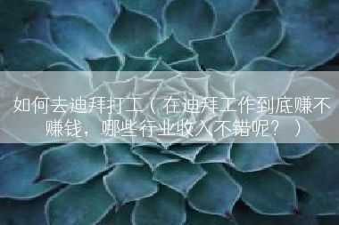 如何去迪拜打工（在迪拜工作到底赚不赚钱，哪些行业收入不错呢？）