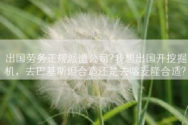 出国劳务正规派遣公司?我想出国开挖掘机，去巴基斯坦合适还是去喀麦隆合适?