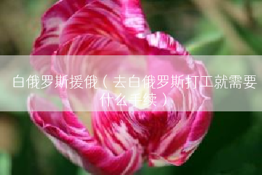 白俄罗斯援俄（去白俄罗斯打工就需要什么手续）