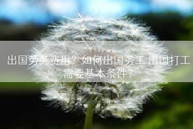 出国劳务费用？如何出国务工 出国打工需要基本条件？