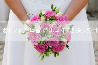 怎样才能出国留学?出国打工要多少费用?
