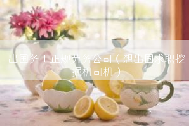 出国务工正规劳务公司（想出国求职挖掘机司机）