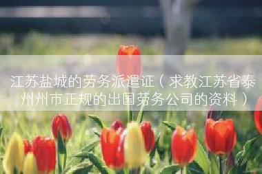 江苏盐城的劳务派遣证（求教江苏省泰州州市正规的出国劳务公司的资料）