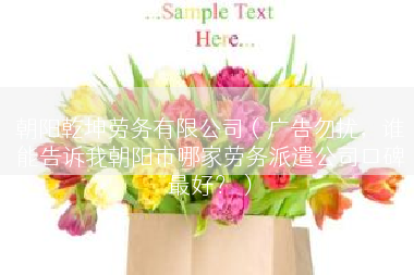 朝阳乾坤劳务有限公司（广告勿扰，谁能告诉我朝阳市哪家劳务派遣公司口碑最好？）