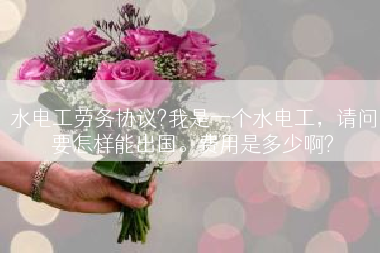 水电工劳务协议?我是一个水电工，请问要怎样能出国。费用是多少啊?