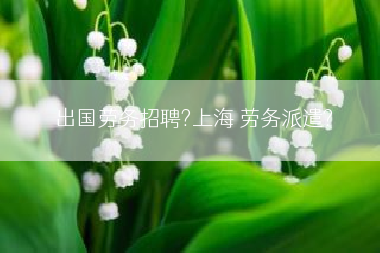 出国劳务招聘?上海 劳务派遣?