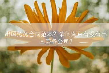 出国劳务合同范本？请问南京有没有出国劳务公司？