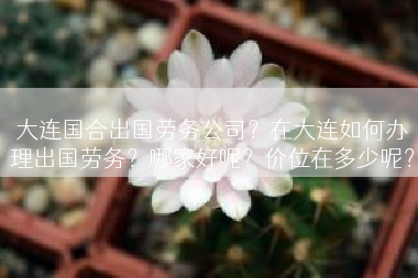 大连国合出国劳务公司？在大连如何办理出国劳务？哪家好呢？价位在多少呢？